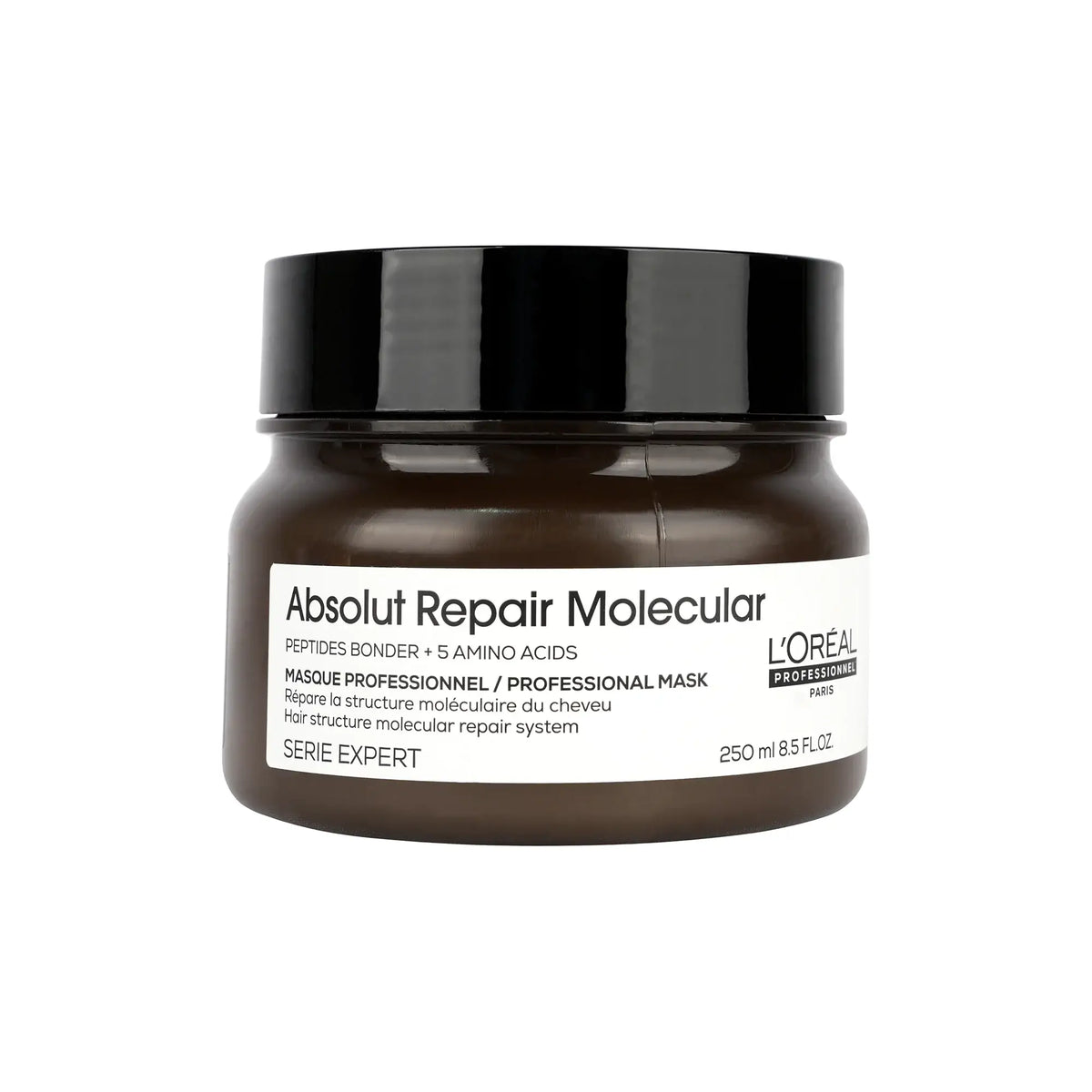 58321-Loreal Serie Expert Absolut Repair Molecular Mask 250ml