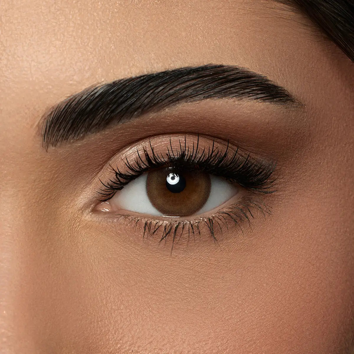 58789-Amara Monthly Lovely Forever Lenses-Dune