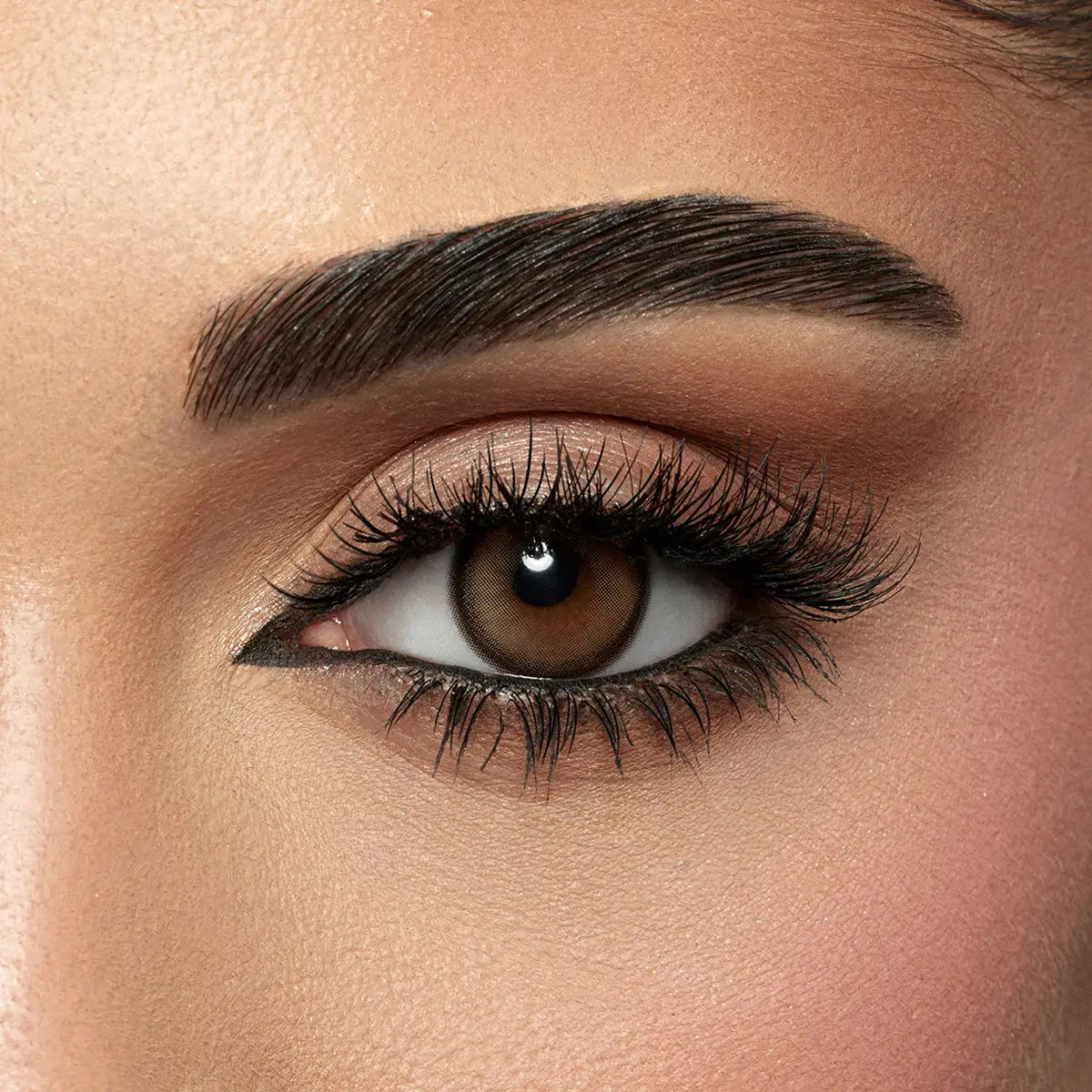 58791-Amara Monthly Lovely Forever Lenses-Sahara