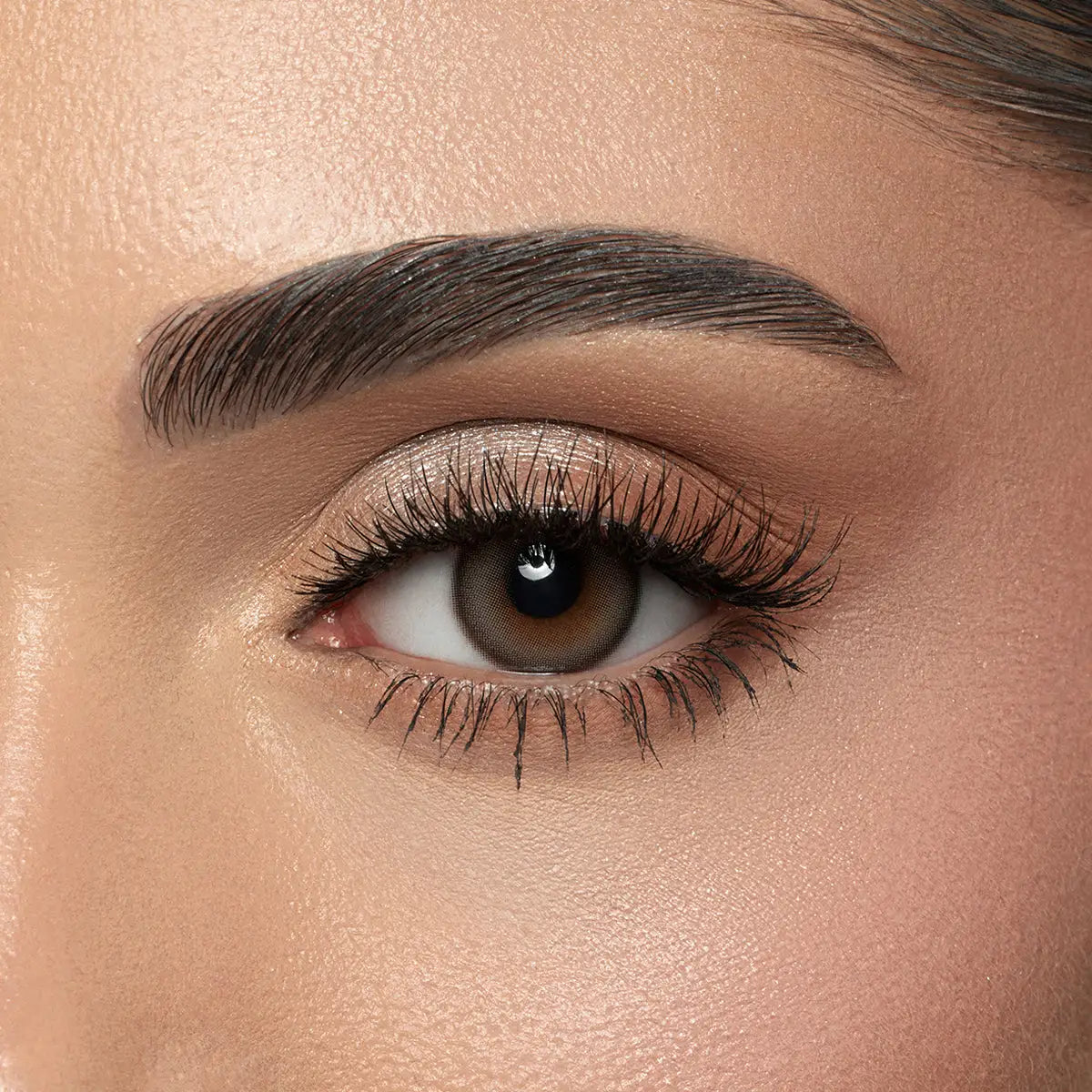 58792-Amara Monthly Lovely Forever Lenses-Oasis