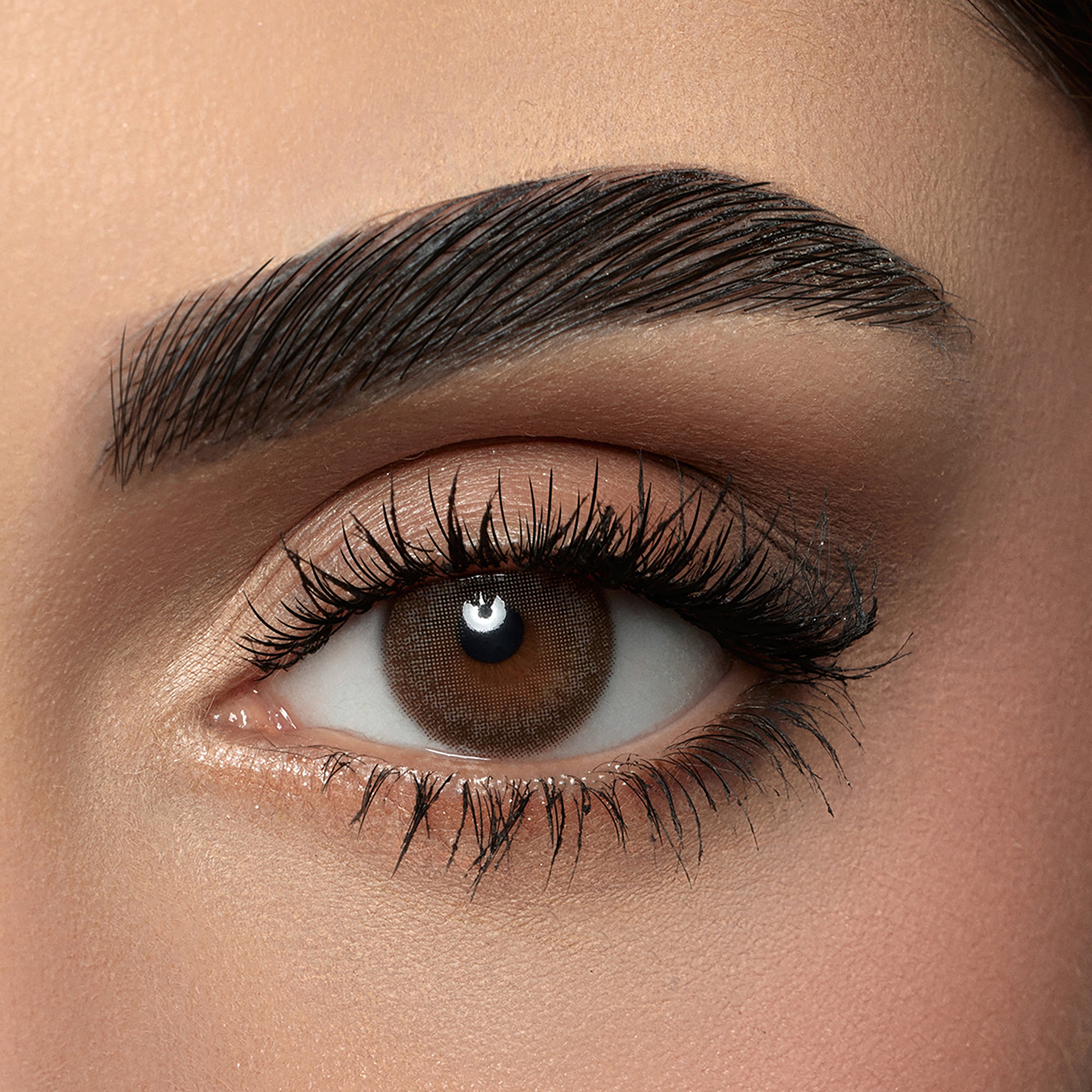 58793-Amara Monthly Lovely Forever Lenses-Dark Sepia +0