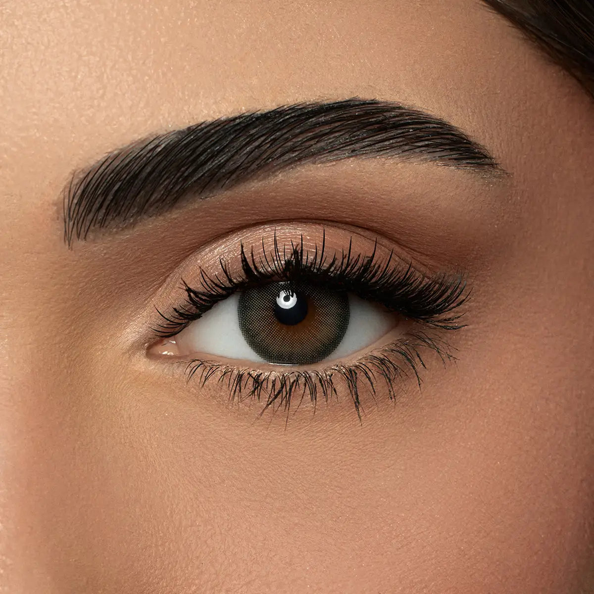 58797-Amara One Day Color 10 Contact Lenses - Crocodile Green