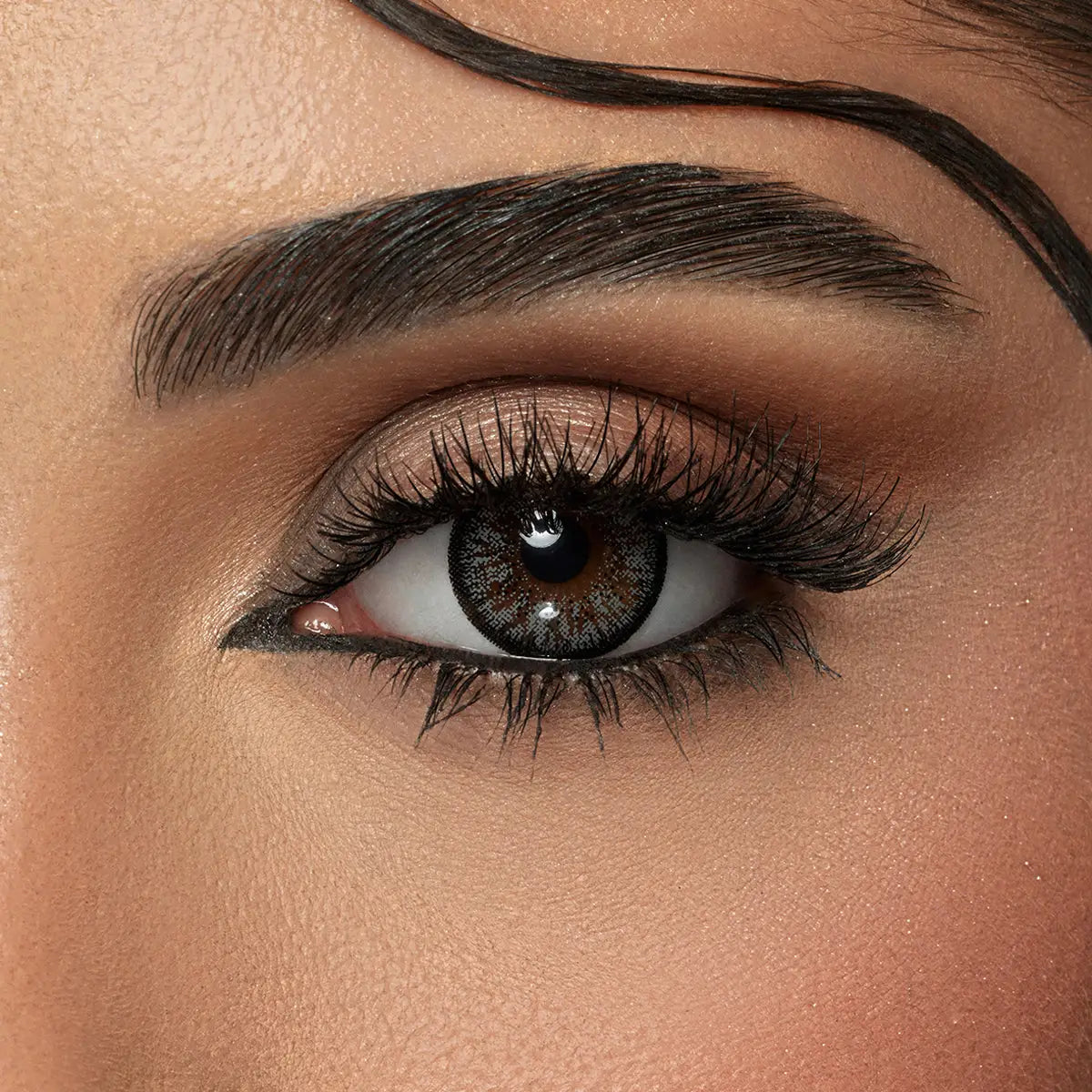 58799-Amara One Day Color 10 Contact Lenses -Charcoal Gray