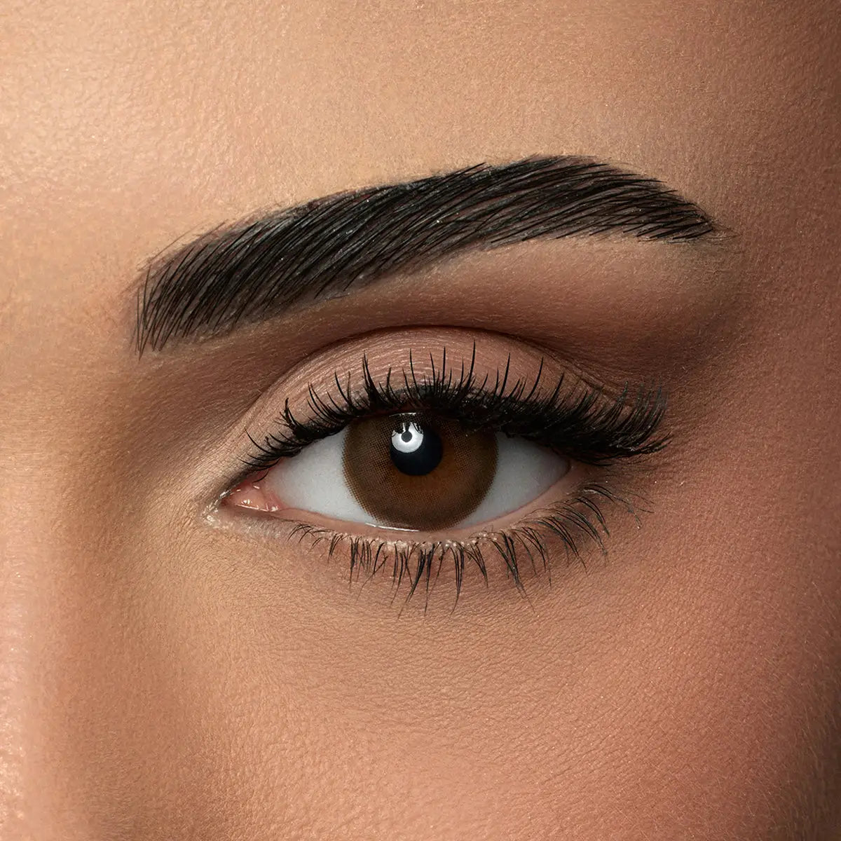 58801-Amara One Day Color 10 Contact Lenses -Mocca