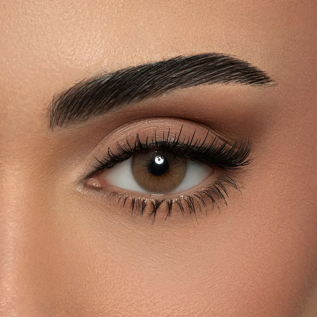58804-Amara One Day Color 10 Contact Lenses -Pure Hazel