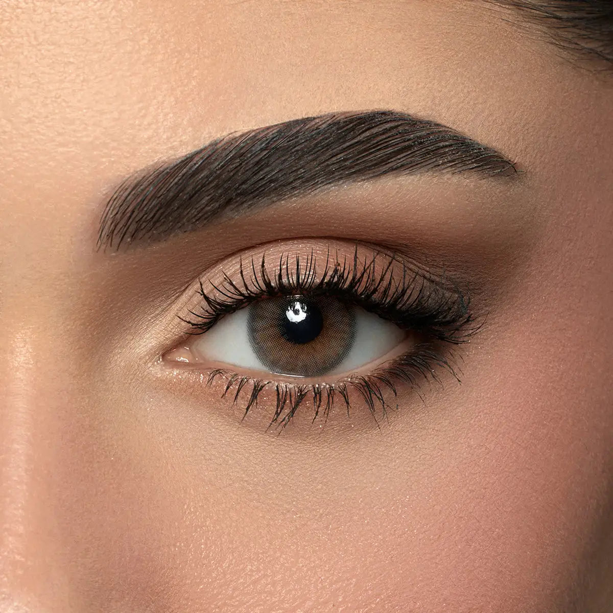 58806-Amara One Day Color 10 Contact Lenses -Steel Gray