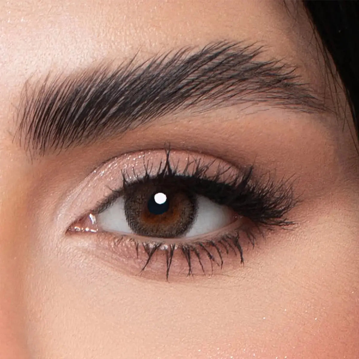 59495-Loroyal One Day Color 10 Contact Lenses - Verona