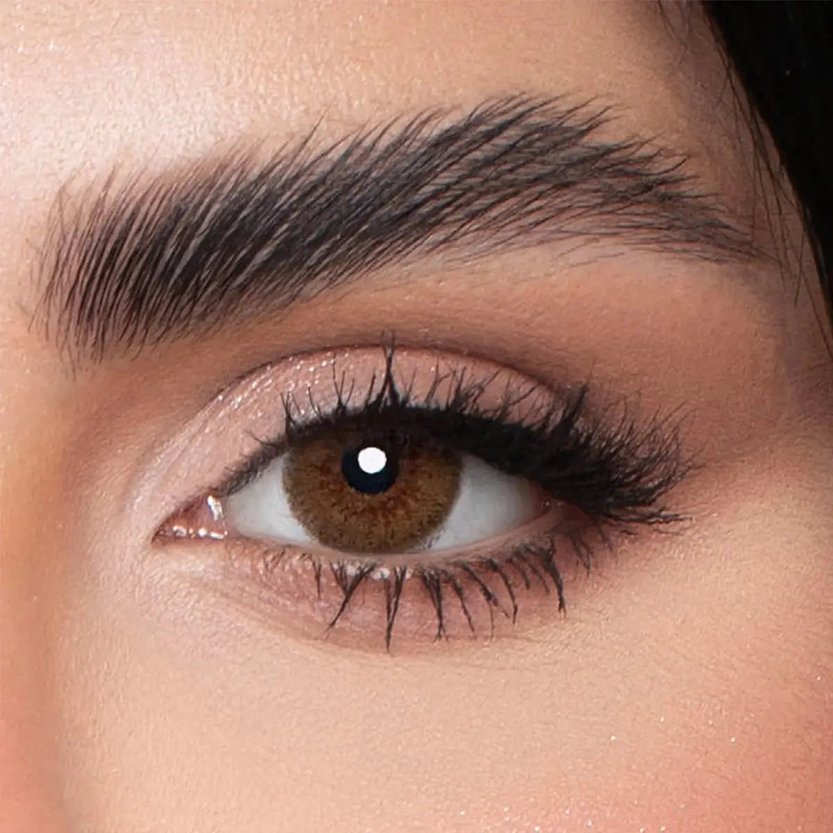 1-Loroyal Monthly Contact Lenses-Dream Baby Brown