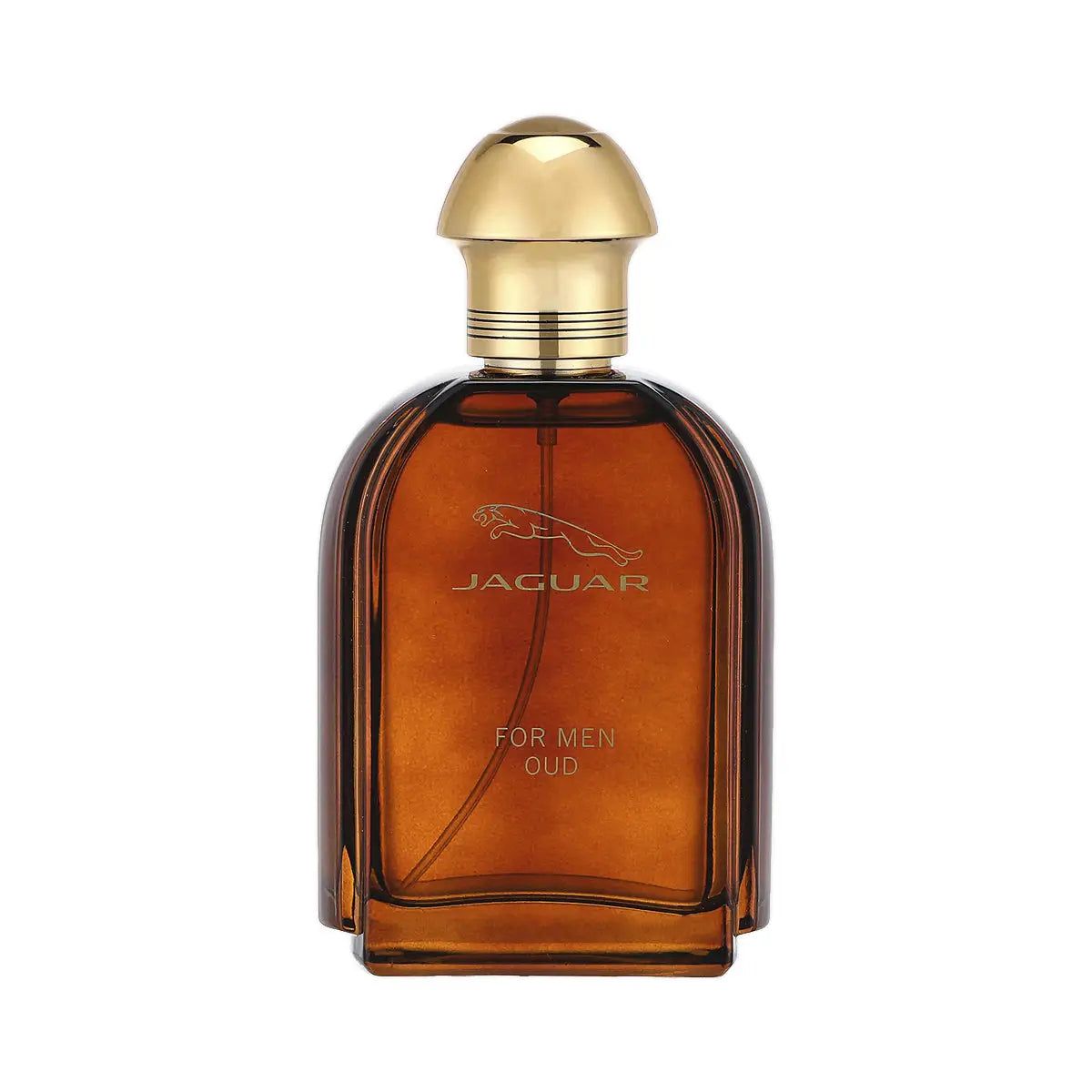 1-Jaguar Oud For Men EDP 100ml