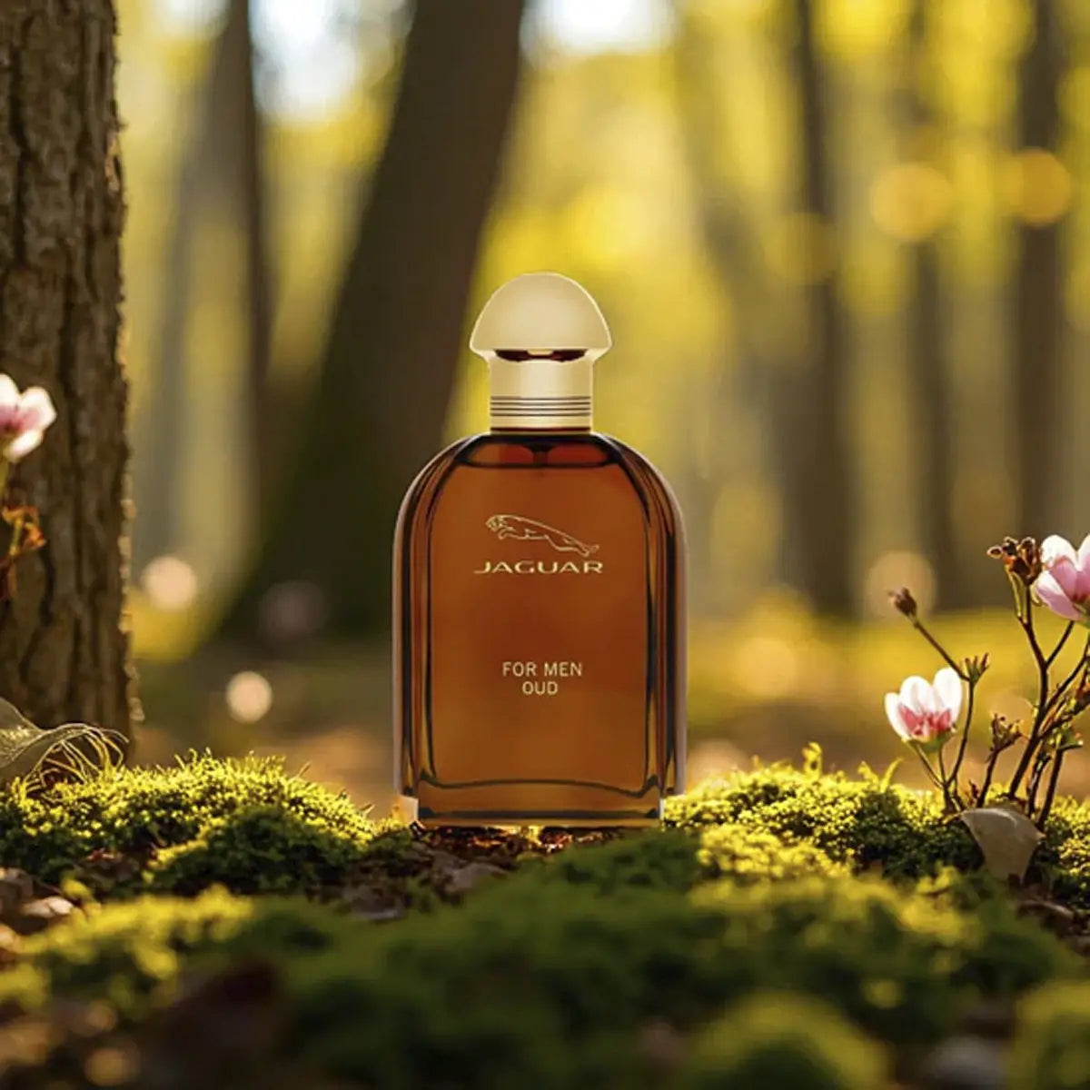 6-Jaguar Oud For Men EDP 100ml +5
