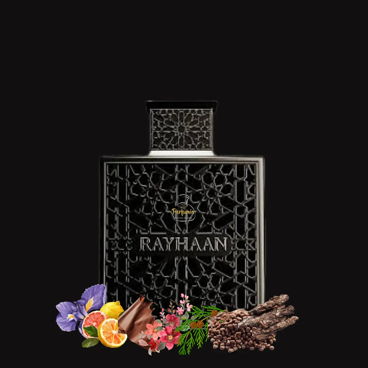 6-Rayhaan Obsidian EDP 100ml-Men +5