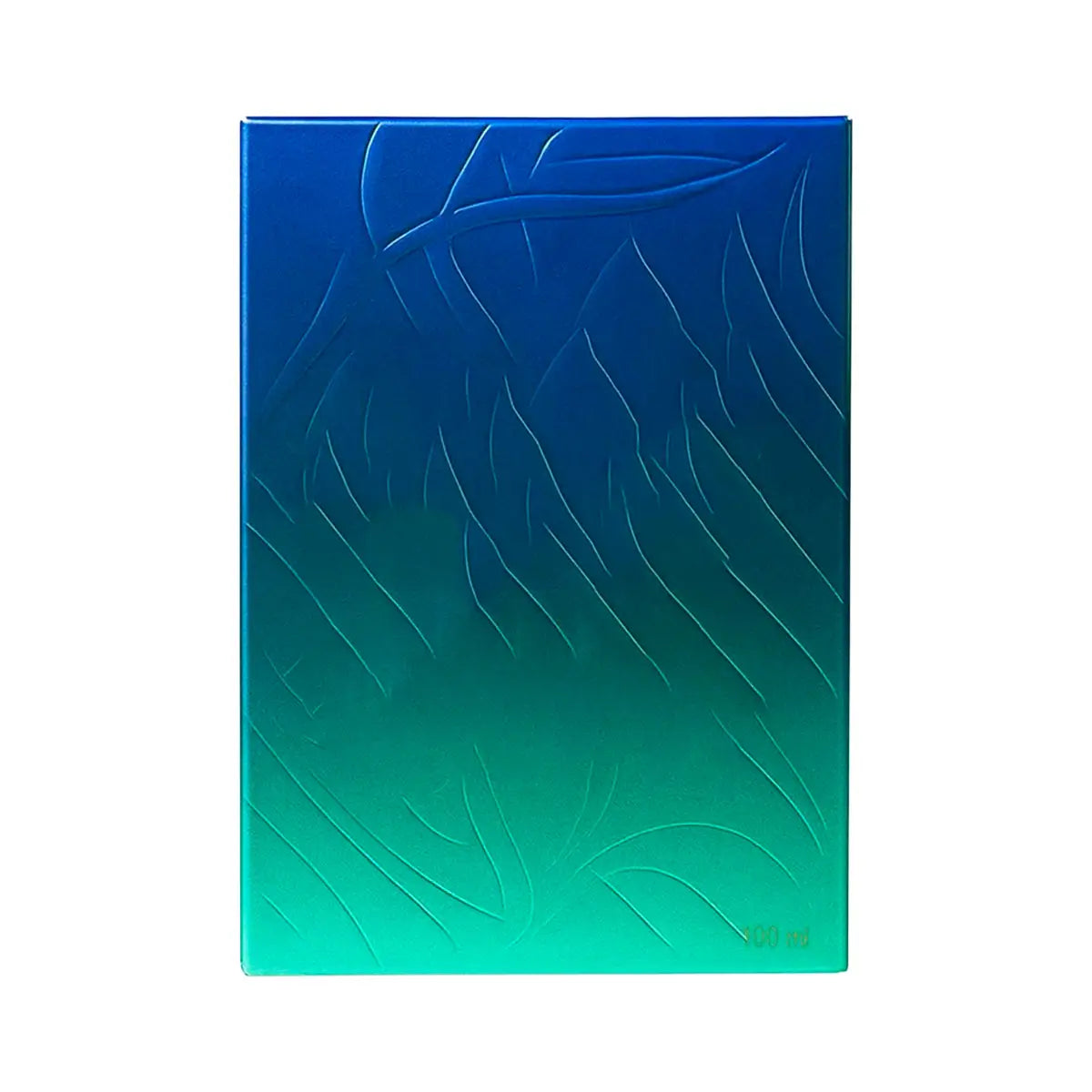 4-Rayhaan Pacific Aura EDP 100ml-Men +3