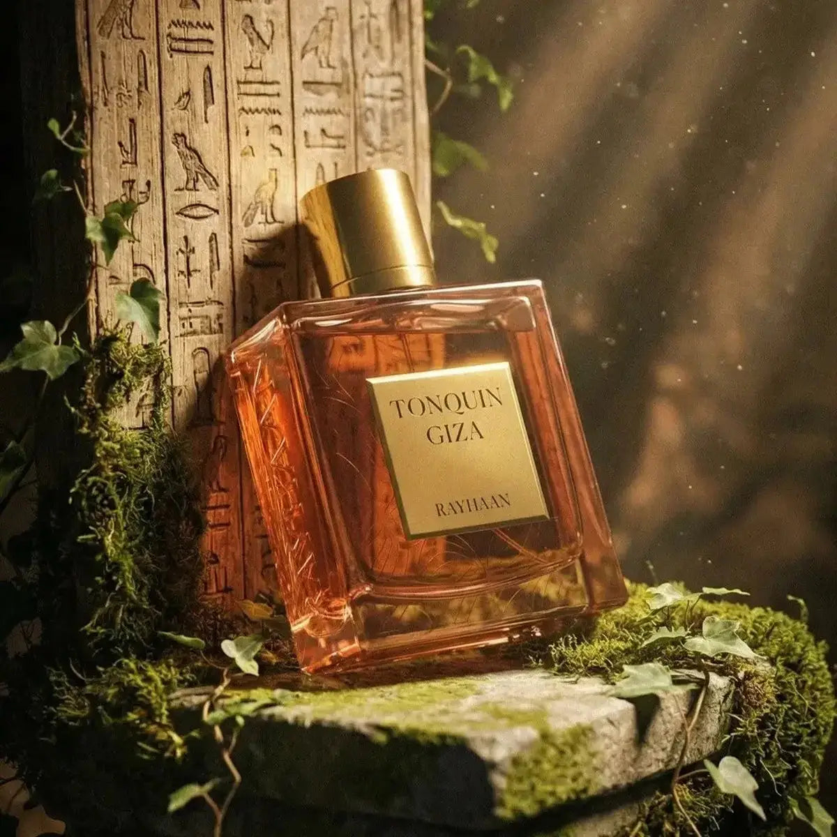 7-Rayhaan Tonquin Giza EDP 100ml-Unisex +6