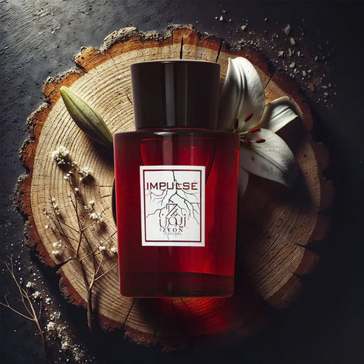6-Zeon Impulse EDP 100ml-Unisex +5