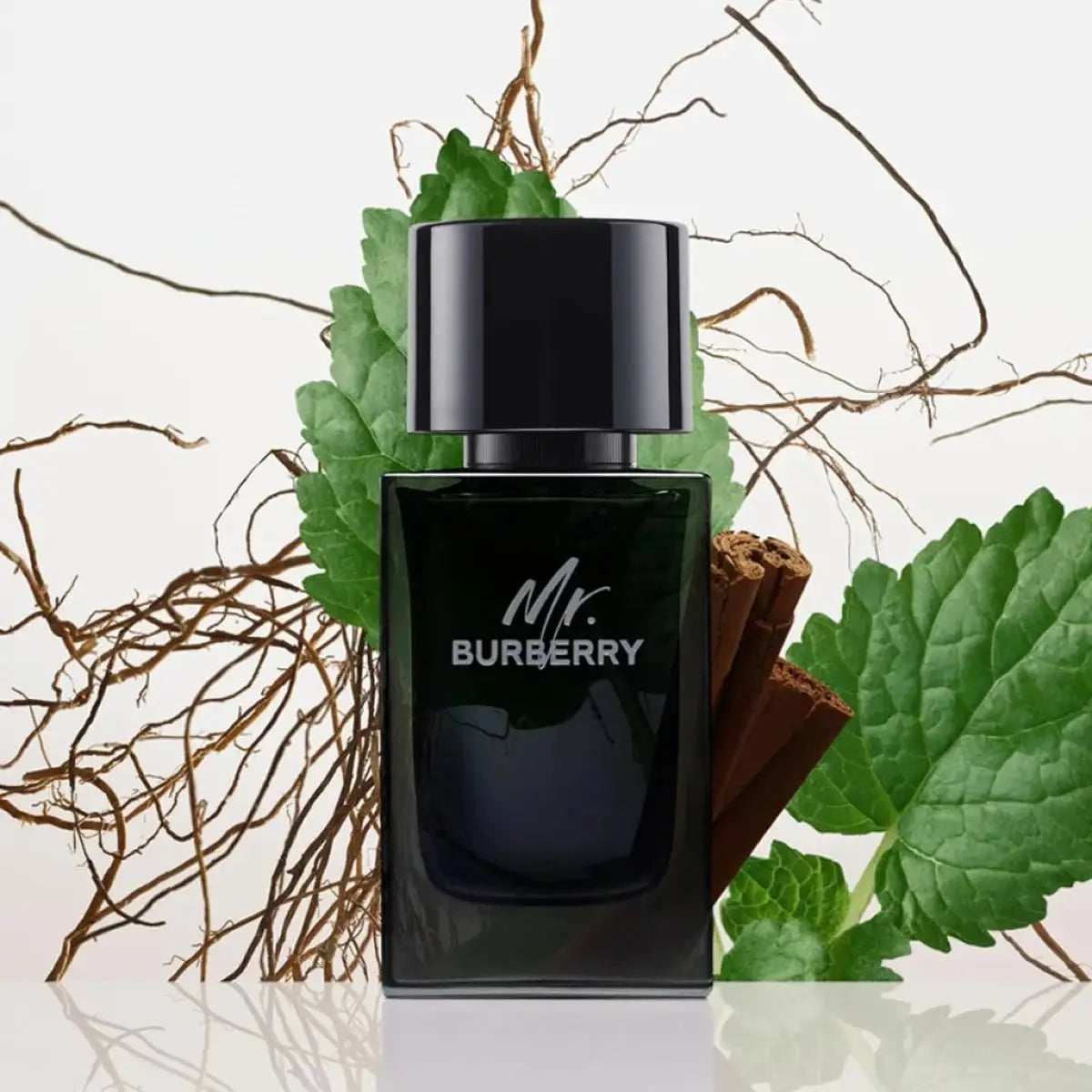 7-Mr.Burberry EDP 100ml-Men +6