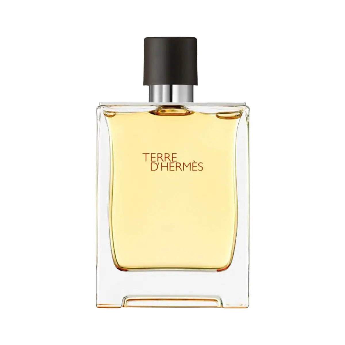 1-Hermes Terre Dhermes EDP 200ml-Men