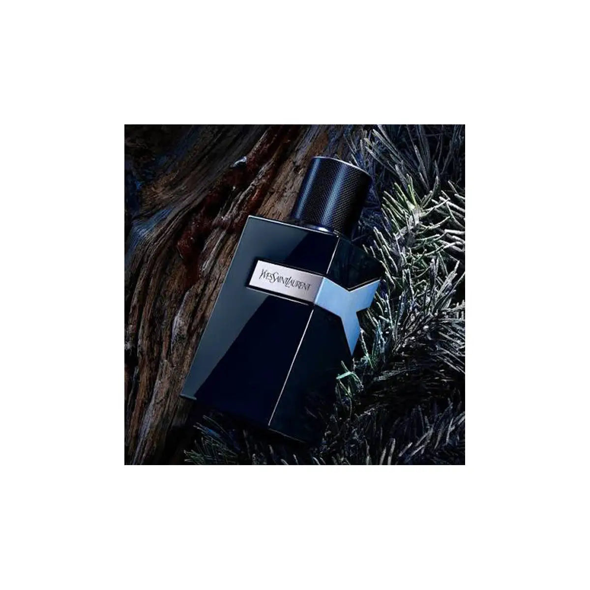 4-YSL Le Parfume EDP 100ml-Men+ 3