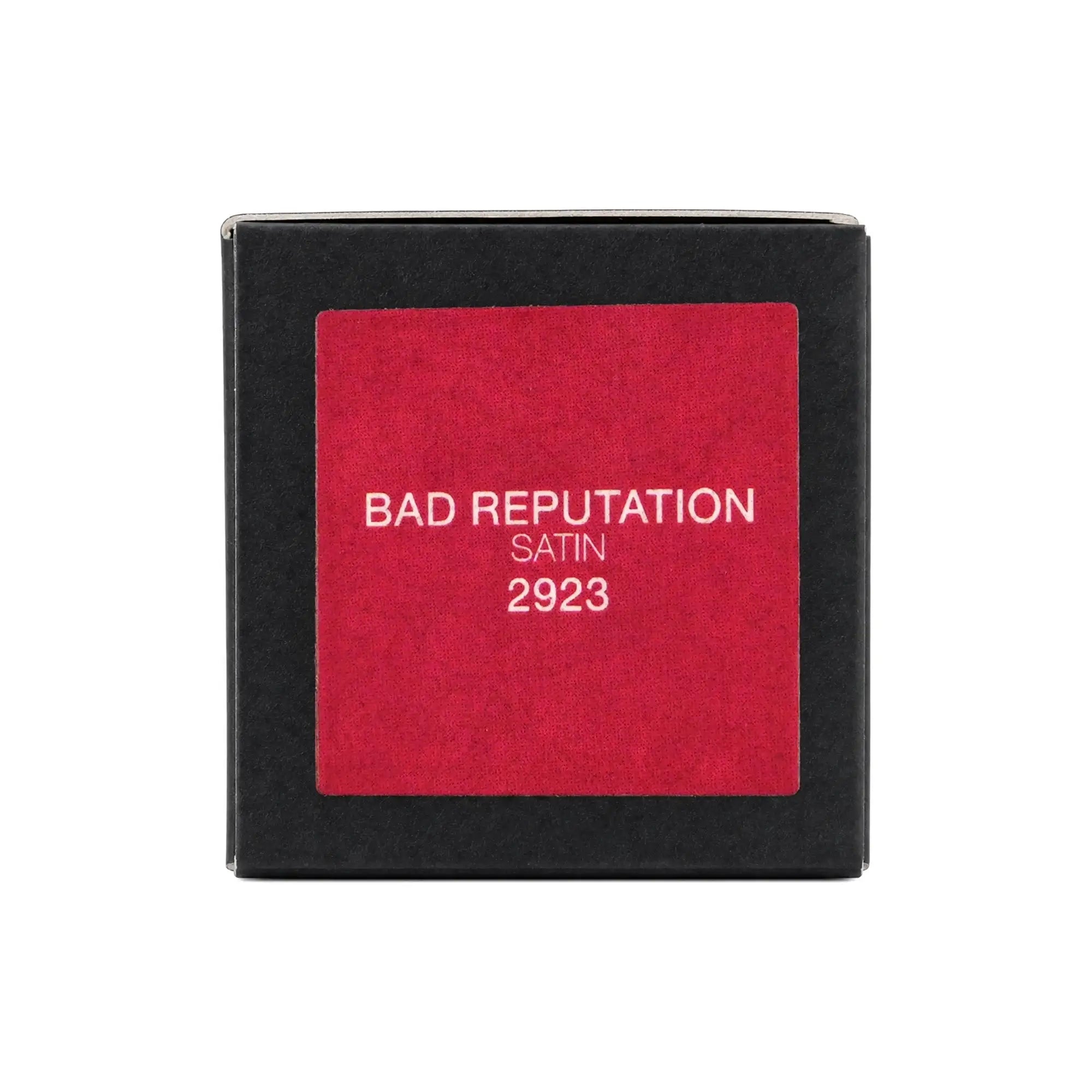 61220-Nars Lipstick Stain Bad Reputation-2923 +5