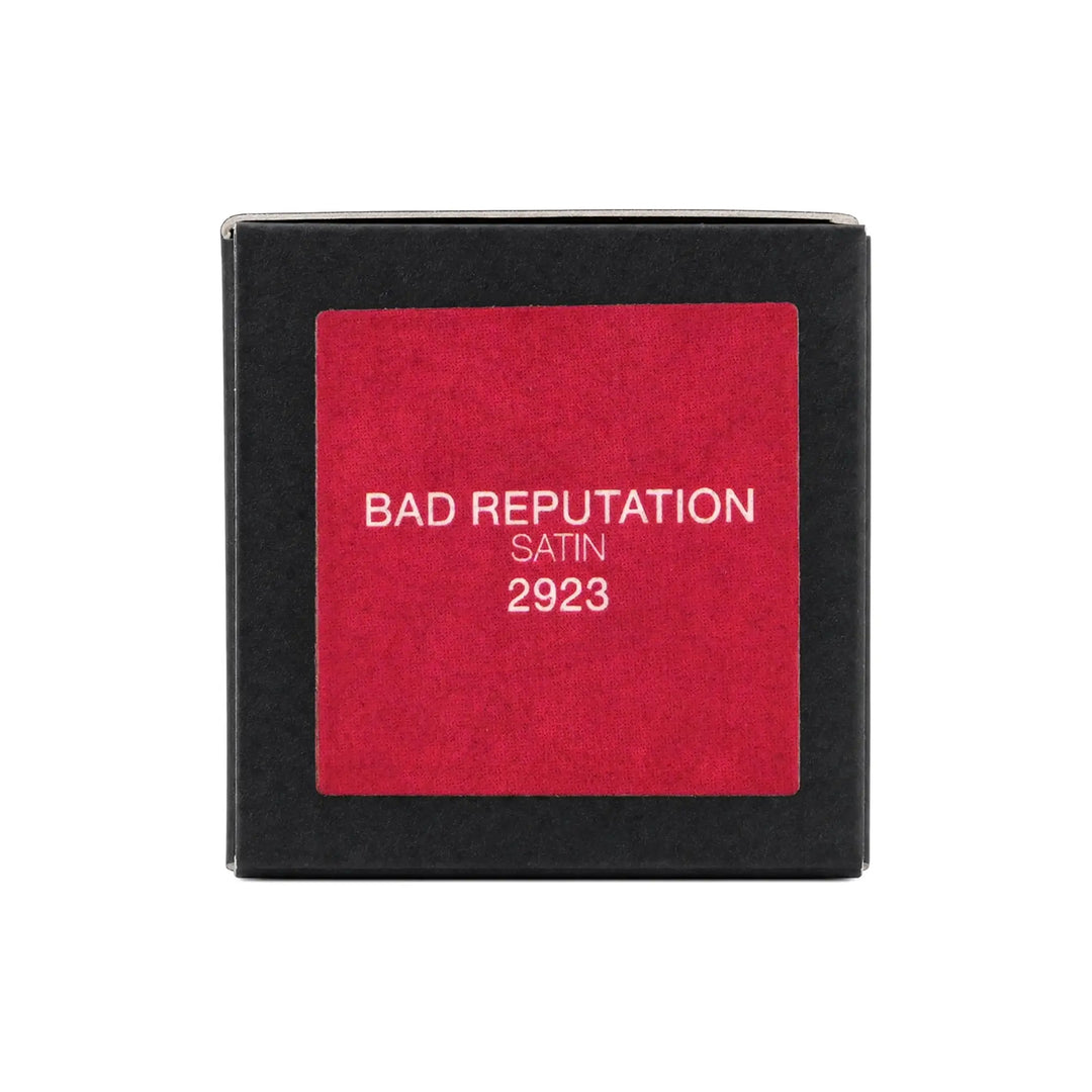 61220-Nars Lipstick Stain Bad Reputation-2923 +5