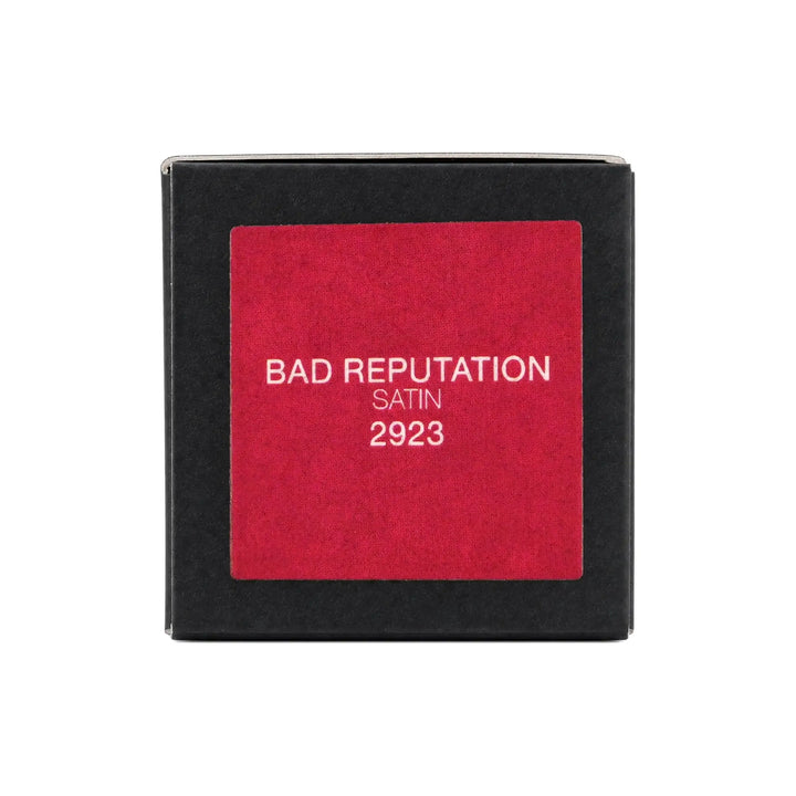 61220-Nars Lipstick Stain Bad Reputation-2923 +5