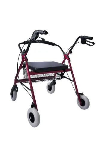 82003-Vantevis Heavy Duty Rollator