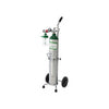 vantevis oxygen cylinder with full set 4 5litre