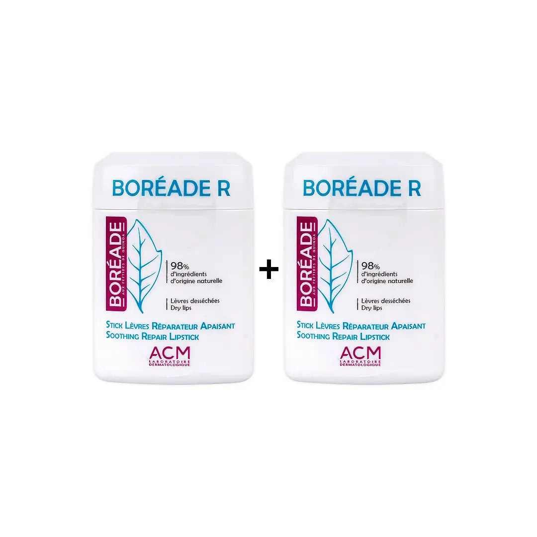 97587-ACM Boreade  R Repair Lipstick Set