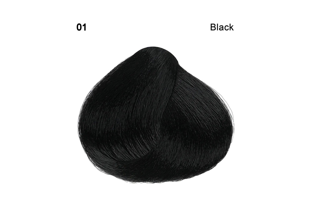 49862-Sanotint Hair Color No.1 - Black 125ml +1