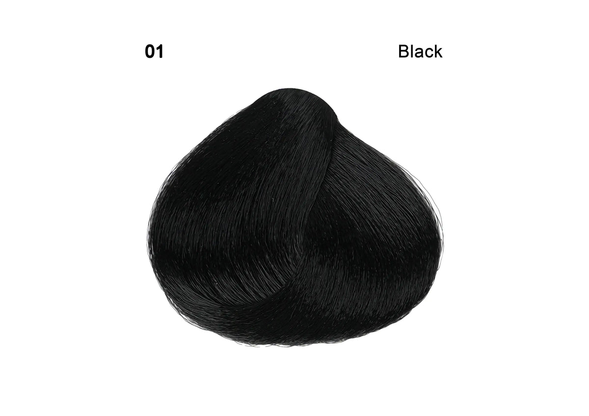49862-Sanotint Hair Color No.1 - Black 125ml +1