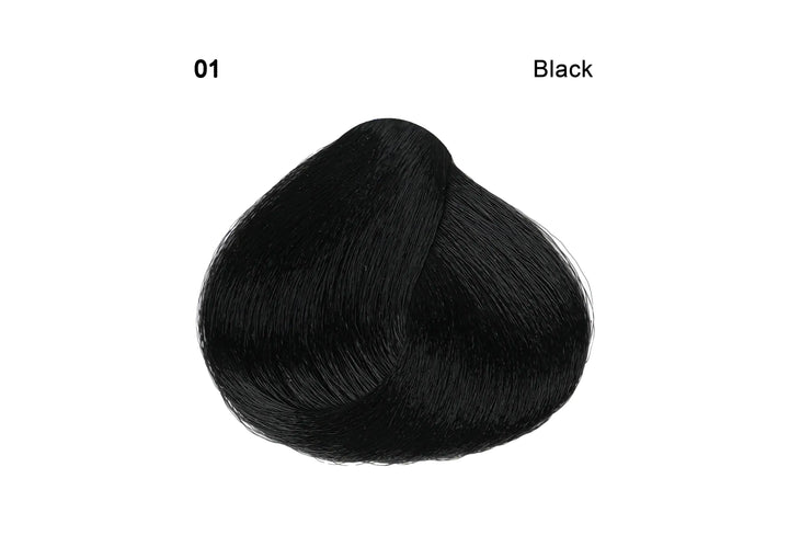 49862-Sanotint Hair Color No.1 - Black 125ml +1