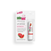 Sebamed Lip Defense Spf30 Watermelon 4.8g