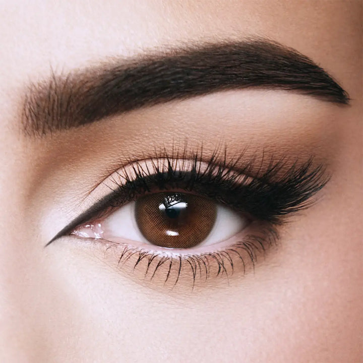 53058-Amara One Day Color 10 Contact Lenses - Toffee