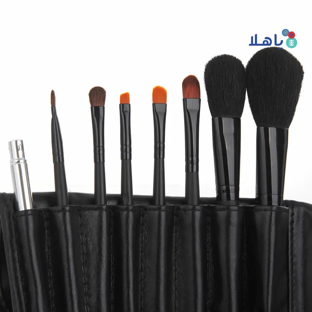 Amara Brush Set Offer