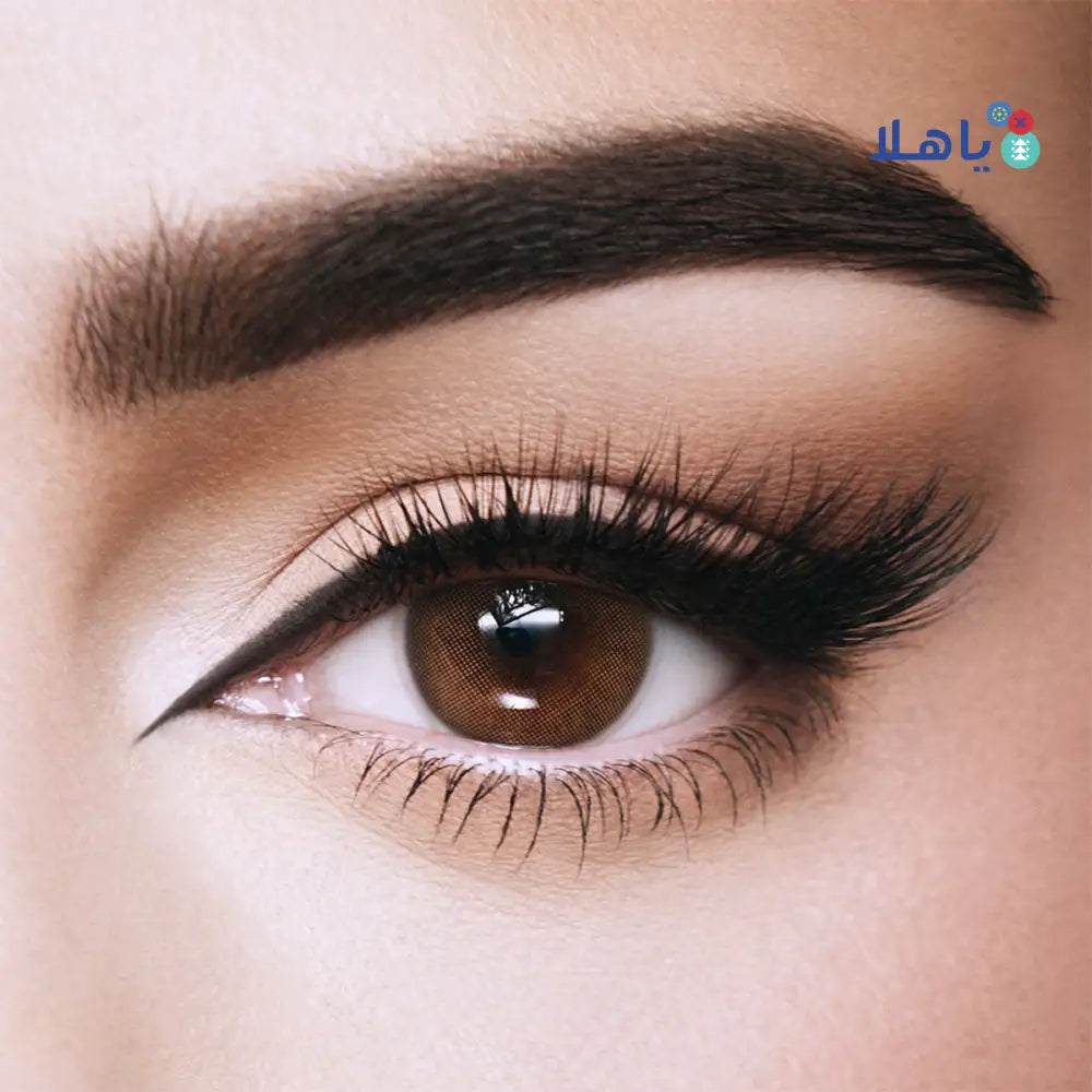 Amara One Day Color 10 Contact Lenses - Toffee