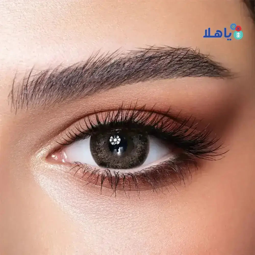 Bella Lenses - Bella Color One Day Lens 10Pcs - Ash Brown - Pharmazone - 