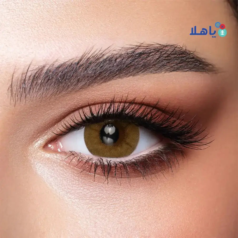 Bella Lenses - Bella Color One Day Lens 10Pcs - Citrine Crystal - Pharmazone - 