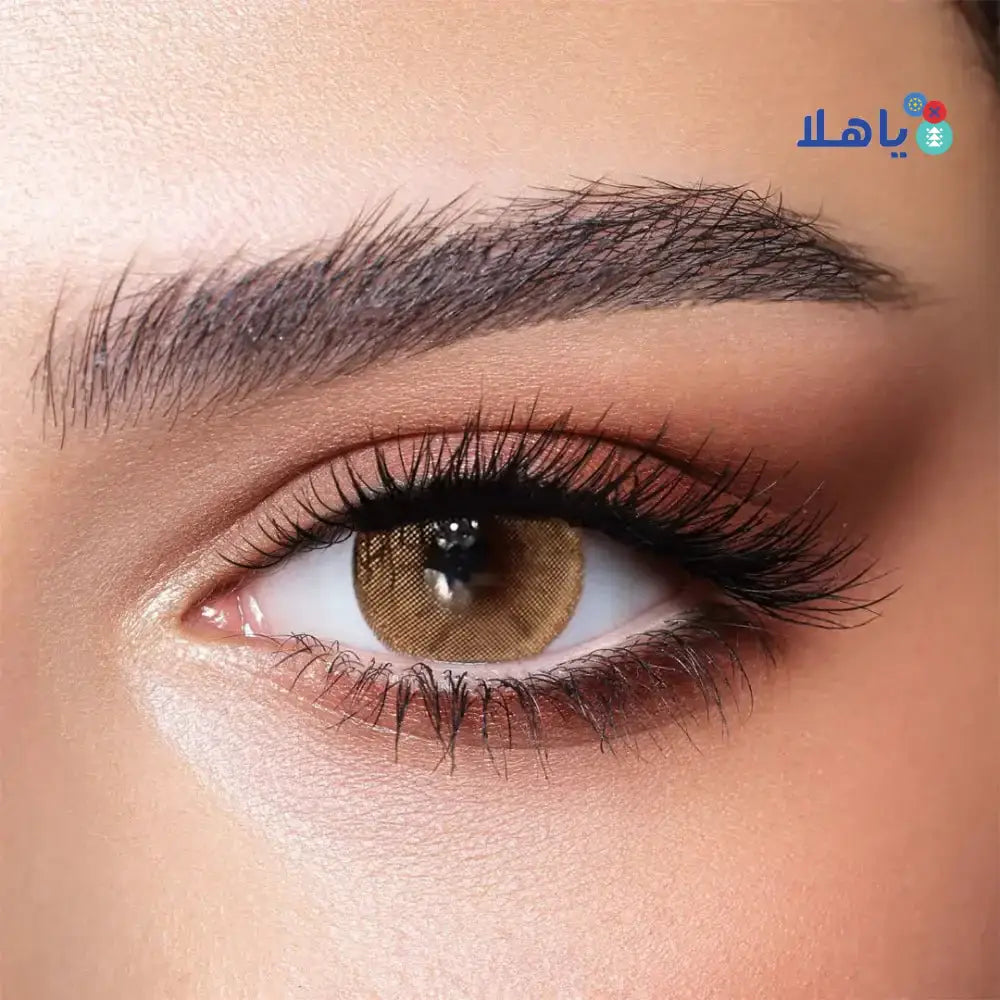 Bella Lenses - Bella Color One Day Lens 10Pcs - Hazel Beige - Pharmazone - 