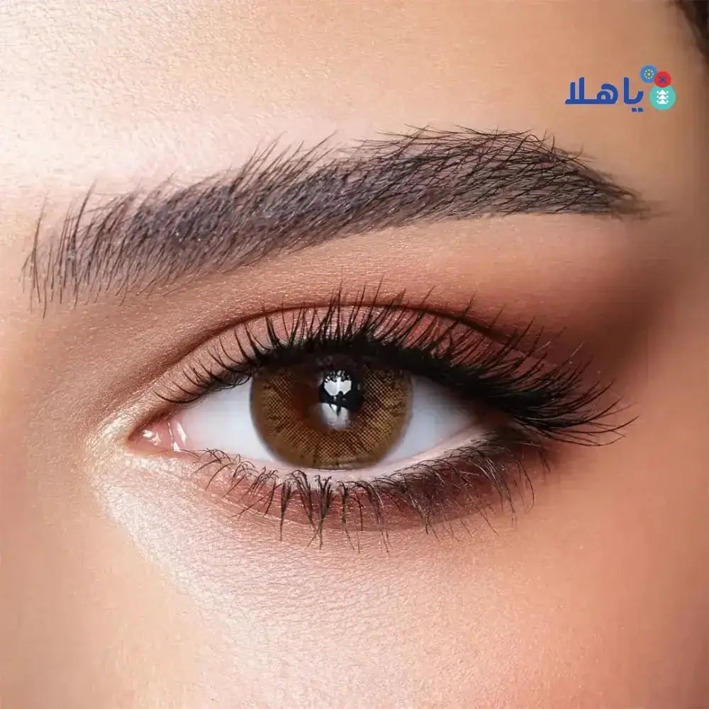 Bella Lenses - Bella Color One Day Lens 10Pcs - Hazel Honey - Pharmazone - 