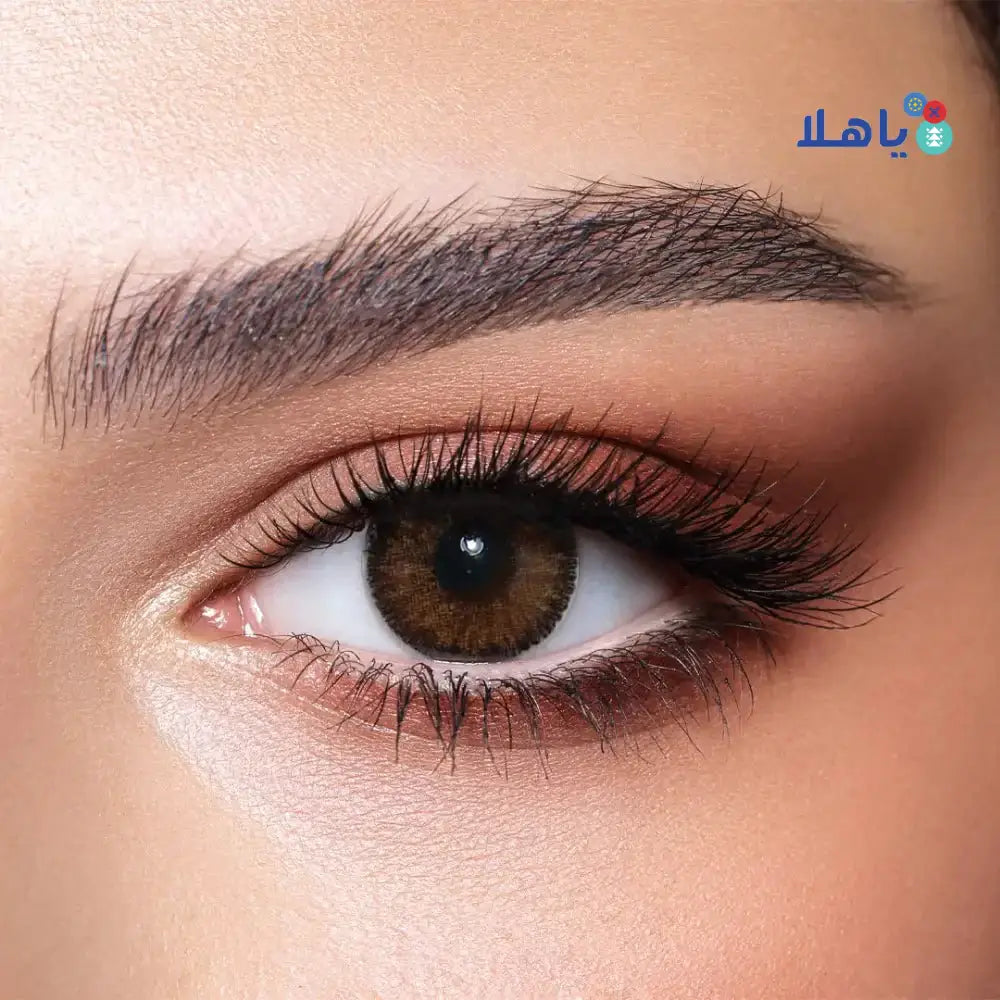 Bella Lenses - Bella Contour Color Monthly Lenses - Hazel - Pharmazone - 