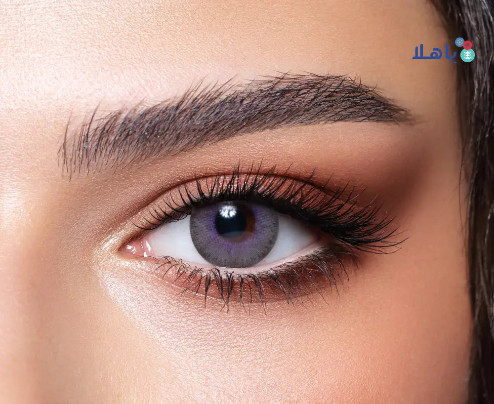 BELLA ELITE CONTACT LENSES LAVENDER GRAY