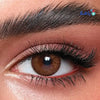 Bella Lenses - Bella Elite Monthly Lenses - Cinnamon Brown - Pharmazone - 