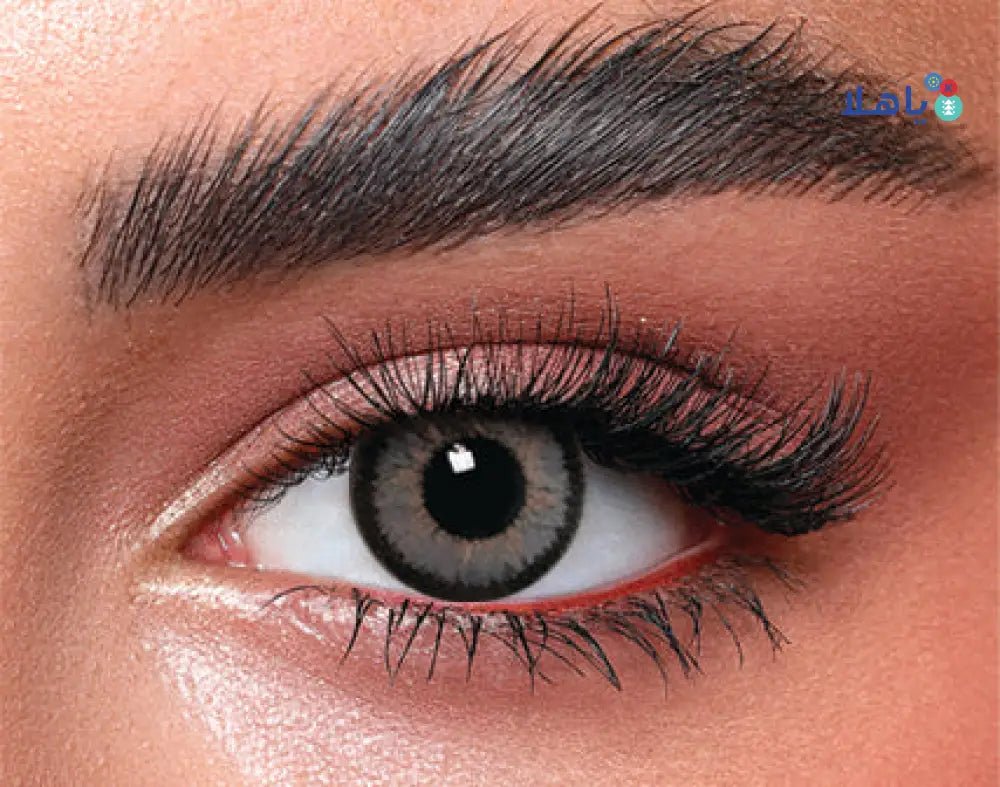 Bella Lenses - Bella Color Lens High Light Circle Gray - Pharmazone - 