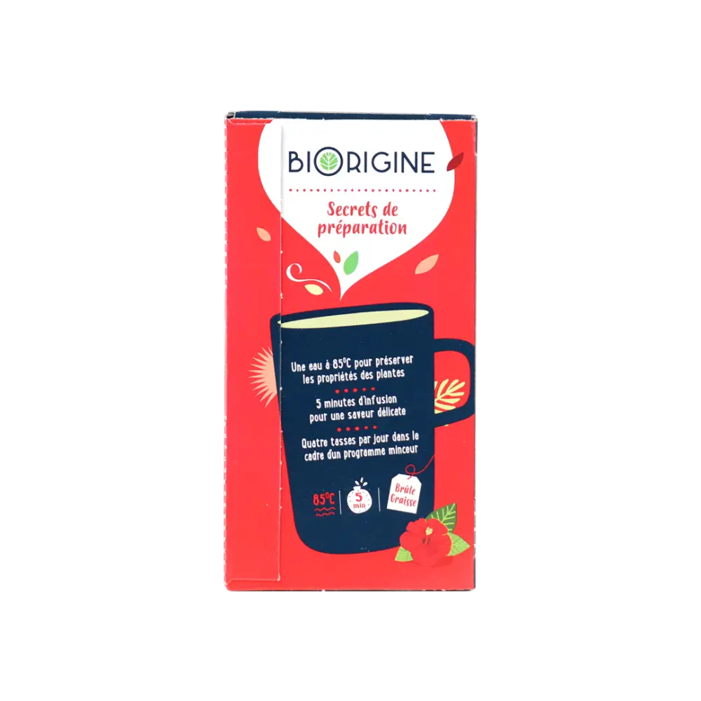 Biorigine Infusion Bio Brule Graisse 20 Sachets