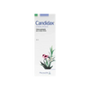 PHARMALIFE RESEARCH S.R.L - Candidax Vaginal Cream 50Ml - Pharmazone - 