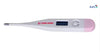 CLINICAL THERMOMETER MERCURY(0197)