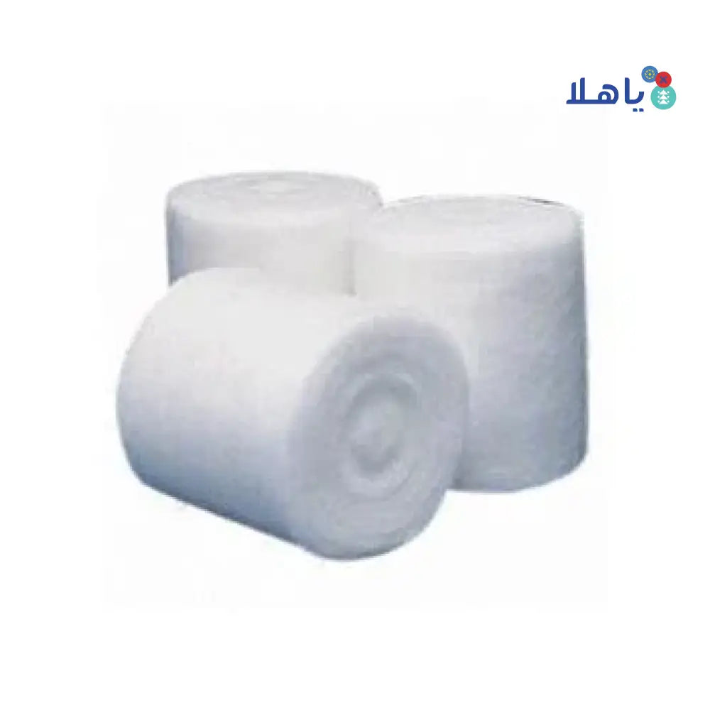 DR.FAY COTTON ROLL 250G