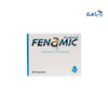 FENAMIC 250MG 48 CAP