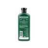 Herbal Essences - Herbal Essences Strength Conditioner 400ml - Aloe+Bamboo - Pharmazone - 