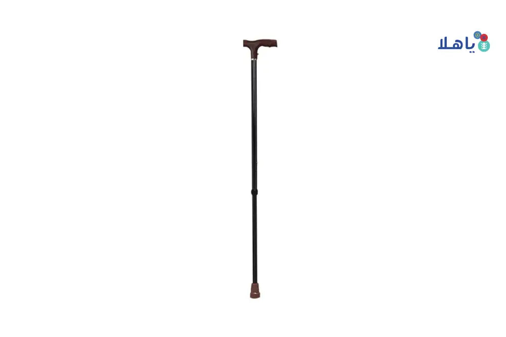 Pharmazone Walking Stick Economic Black FS929L