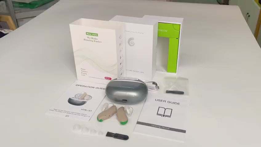 Pleurin Hearing Amplifier Behind Ear Rechargeable 2pcs-353